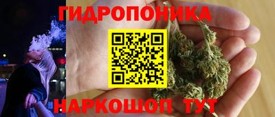 экстази Гай