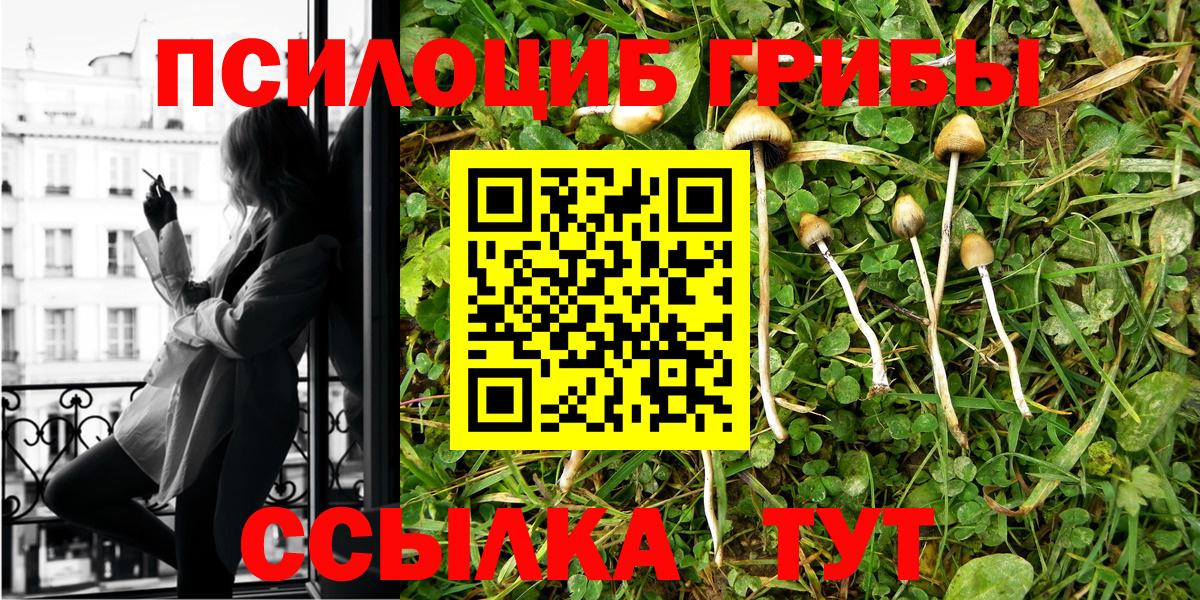 Нижний Тагил  Галлюциногенные грибы GOLDEN TEACHER  Вход с VPN 
